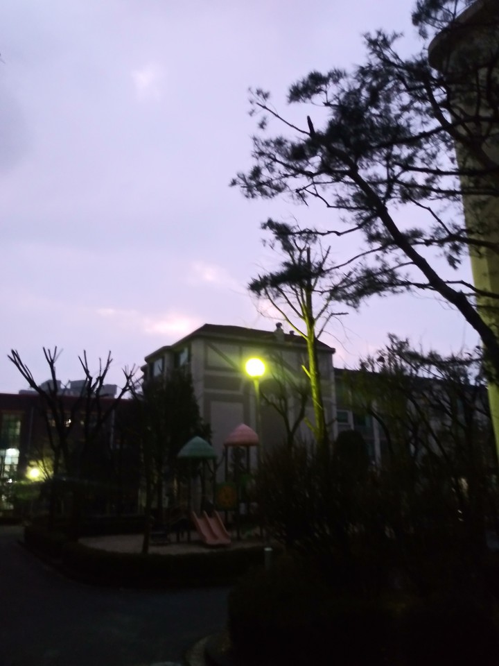 보라 sky