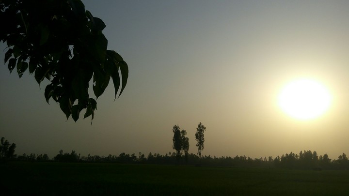 sunset