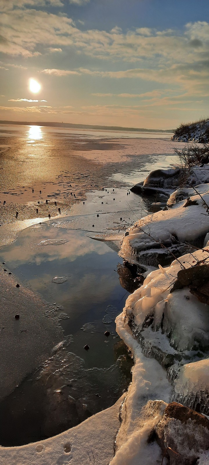 Frozen beauty