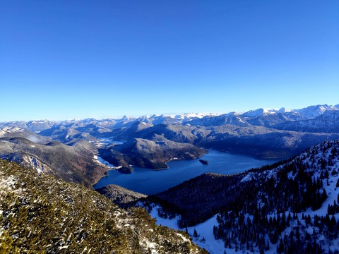 The view