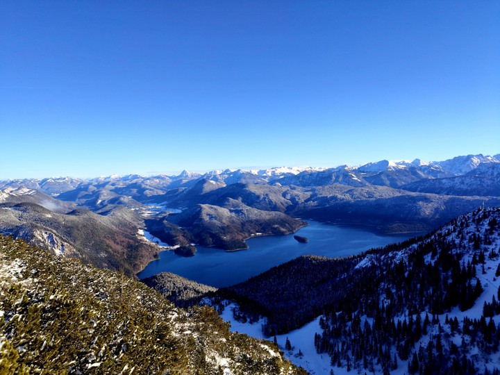The view