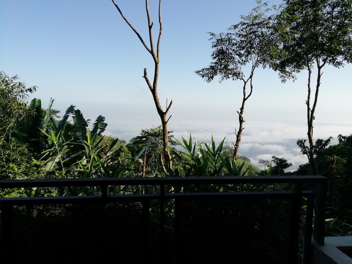 Nature