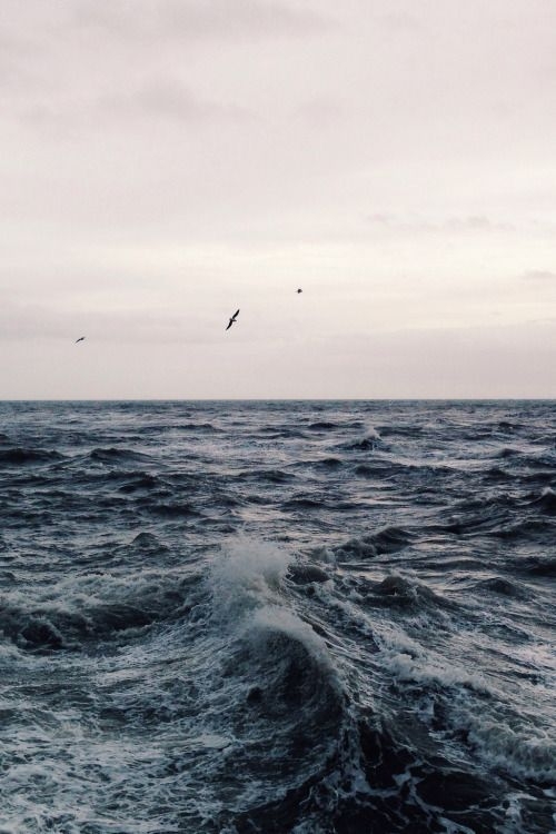 Sea