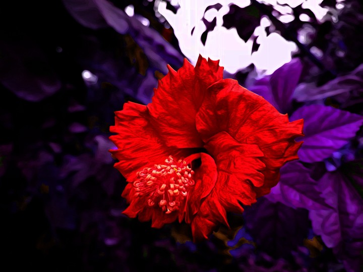 Just Clicked This Beauty Of Nature