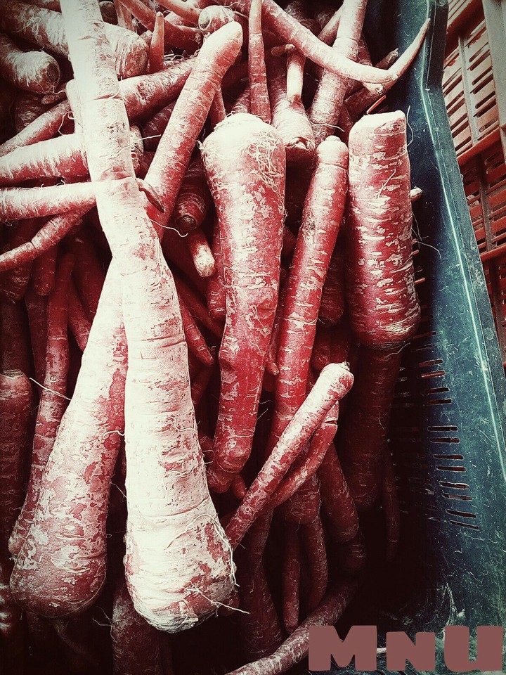 Carrots