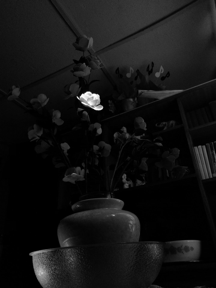 flor