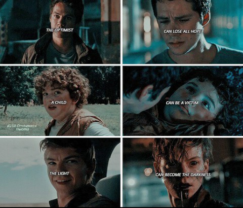 The maze runner