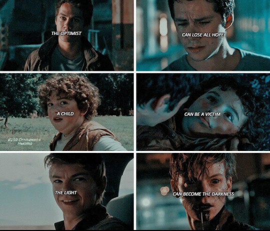 The maze runner