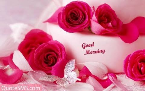 good morning 