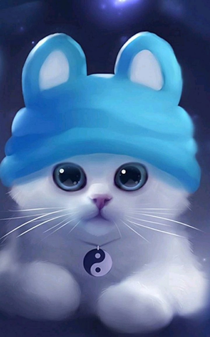 Kitty