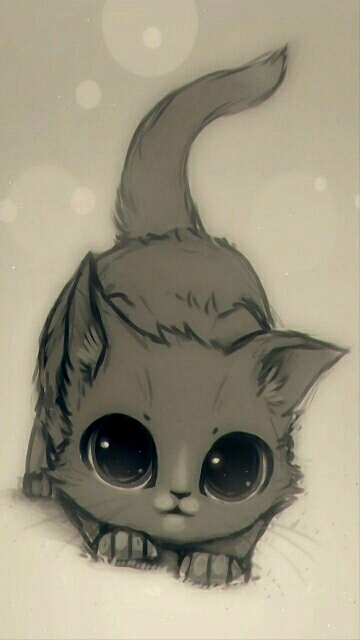 sweet cat