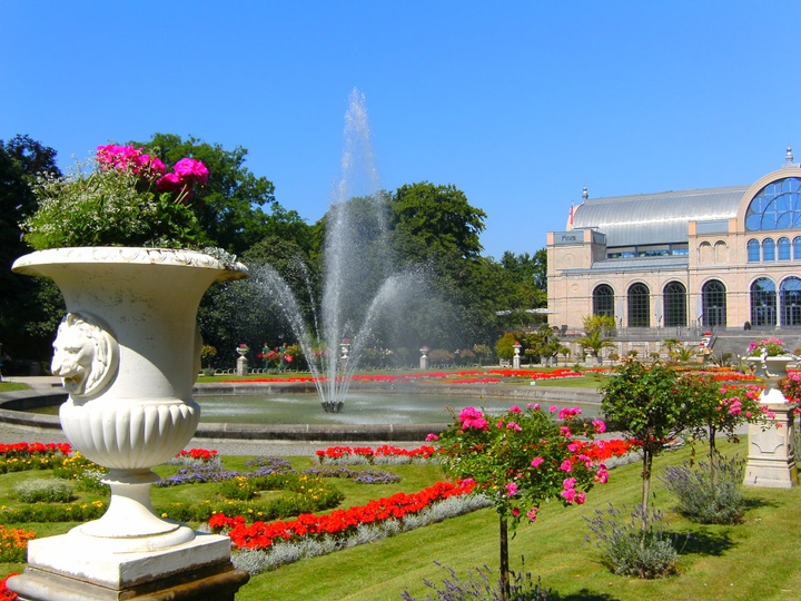 flower garden