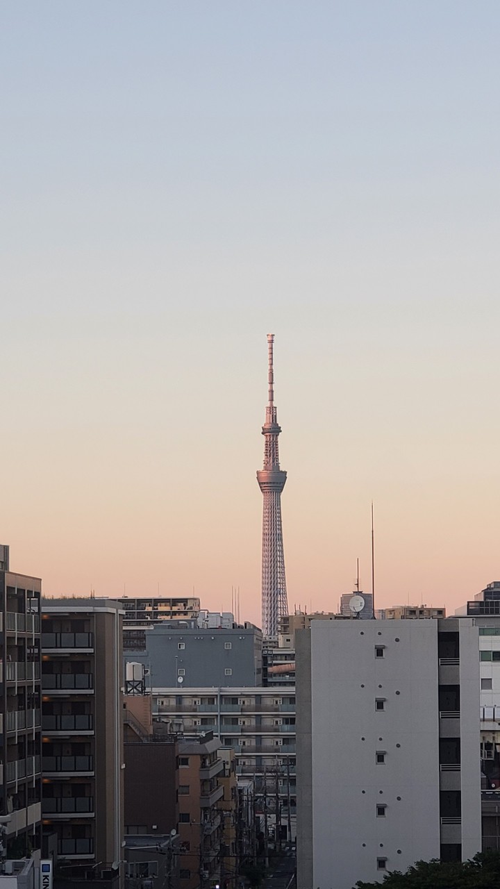 Sky tree