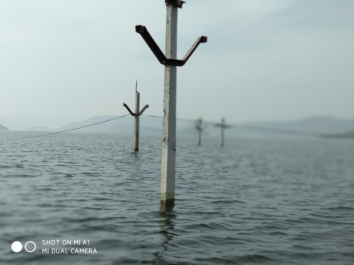 #CurrentPoles #SinkingDeep #ShotOnMiA1