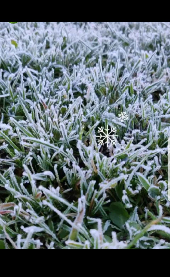 Hoarfrost