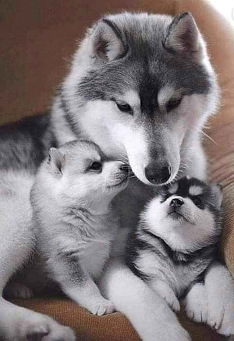 ❤❤❤