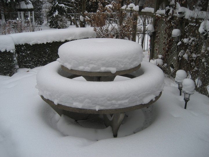 winter