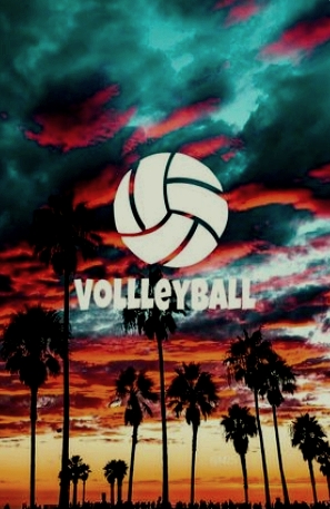 love volleyball