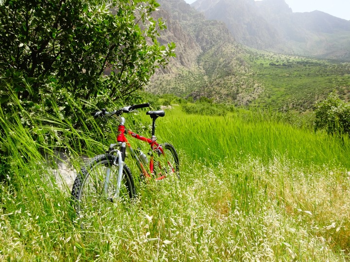 down hill cycling