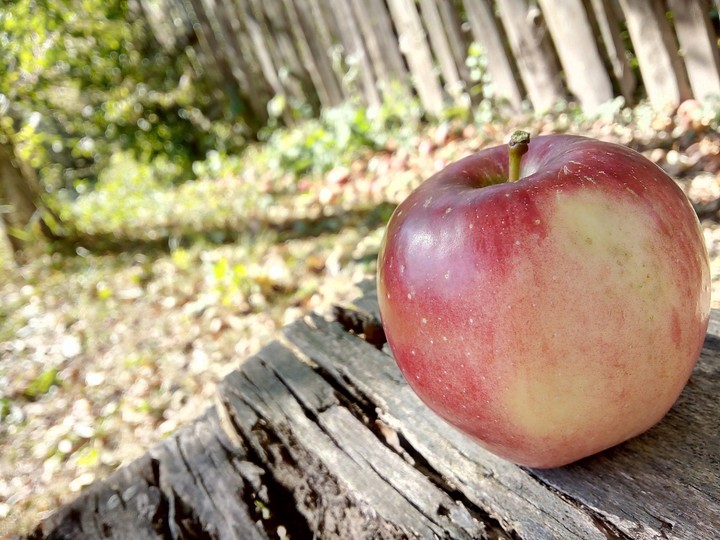 Red Apple