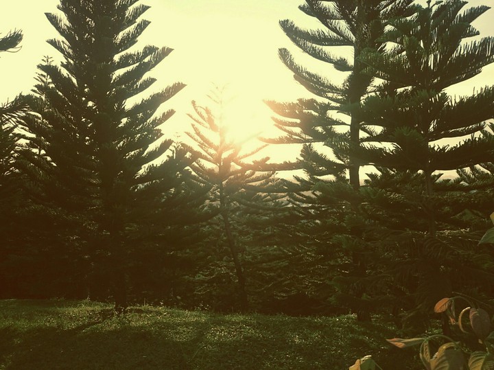 sunset