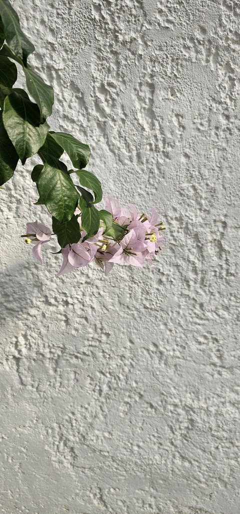plaster, concrete壁纸