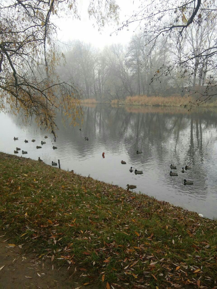 Осень