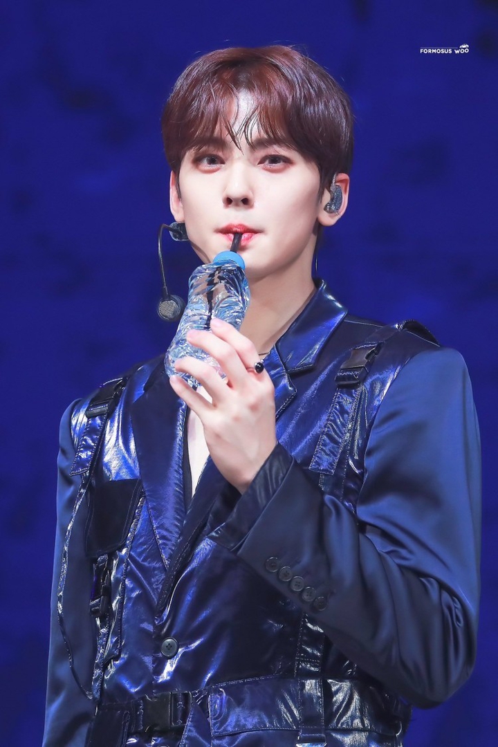 Korean actor ChaEunwoo