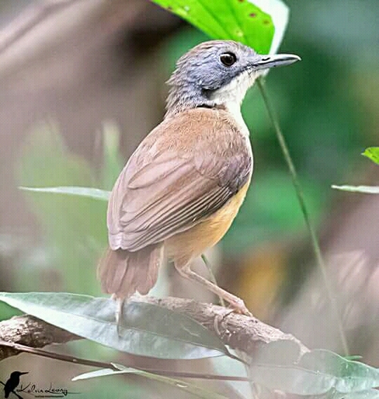 click by me