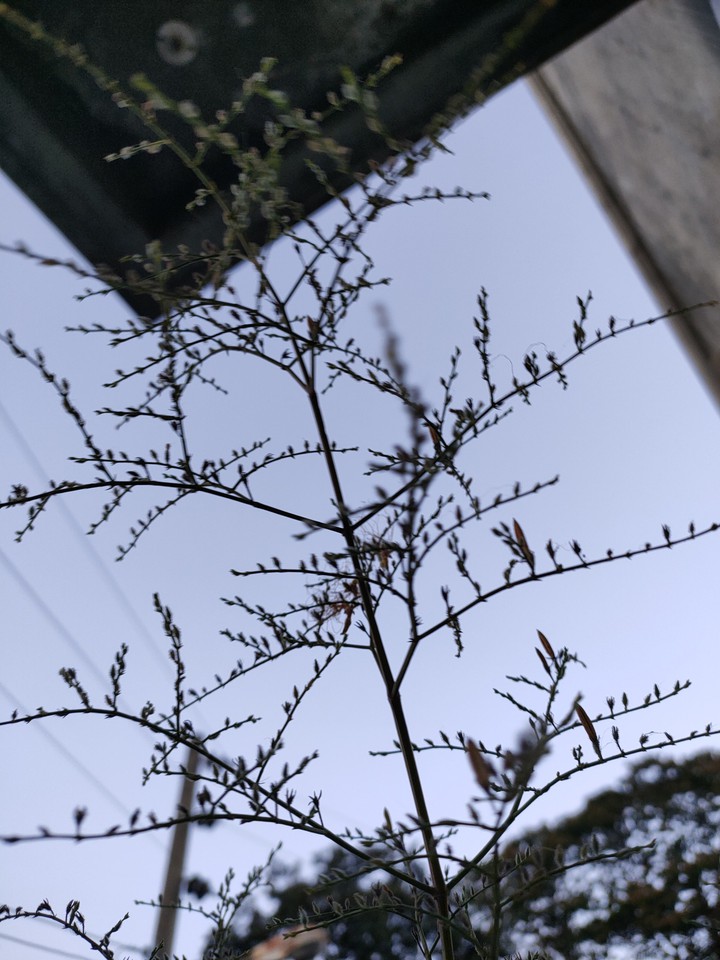 ?