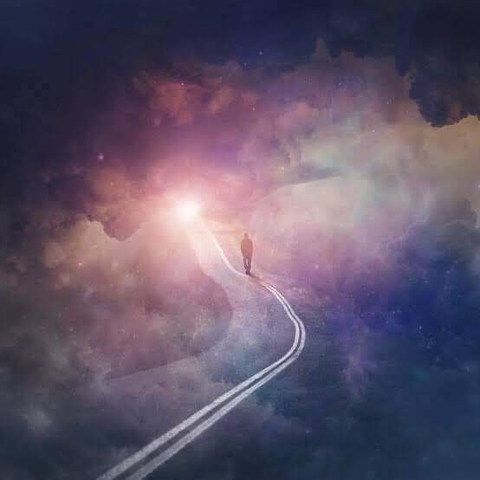 nature, sunlight wallpapers
