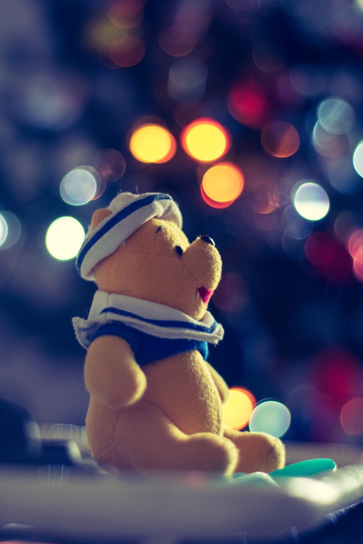Winnie  the Pooh