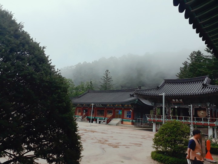 안개가 득실한 월정사