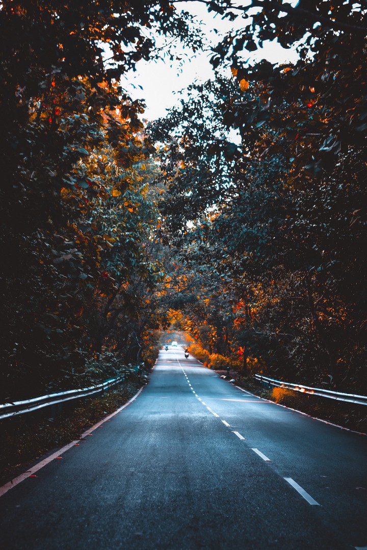Road