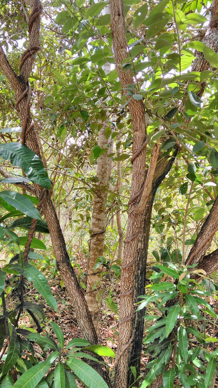 Nature in focus