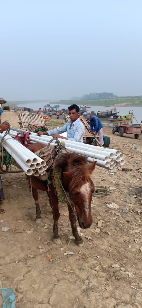 Horse Carriage in Bangladesh