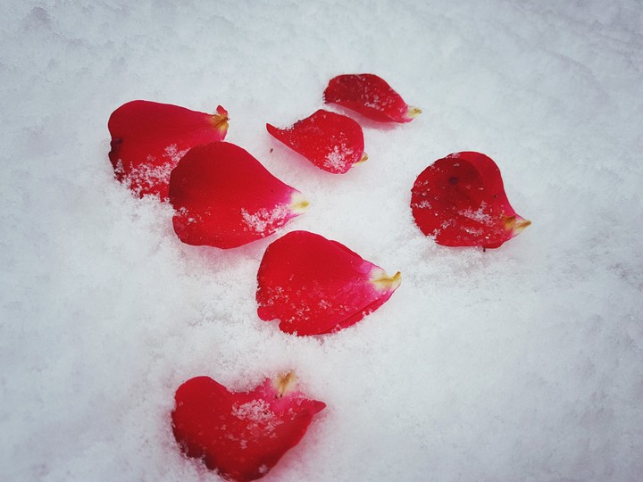 snow