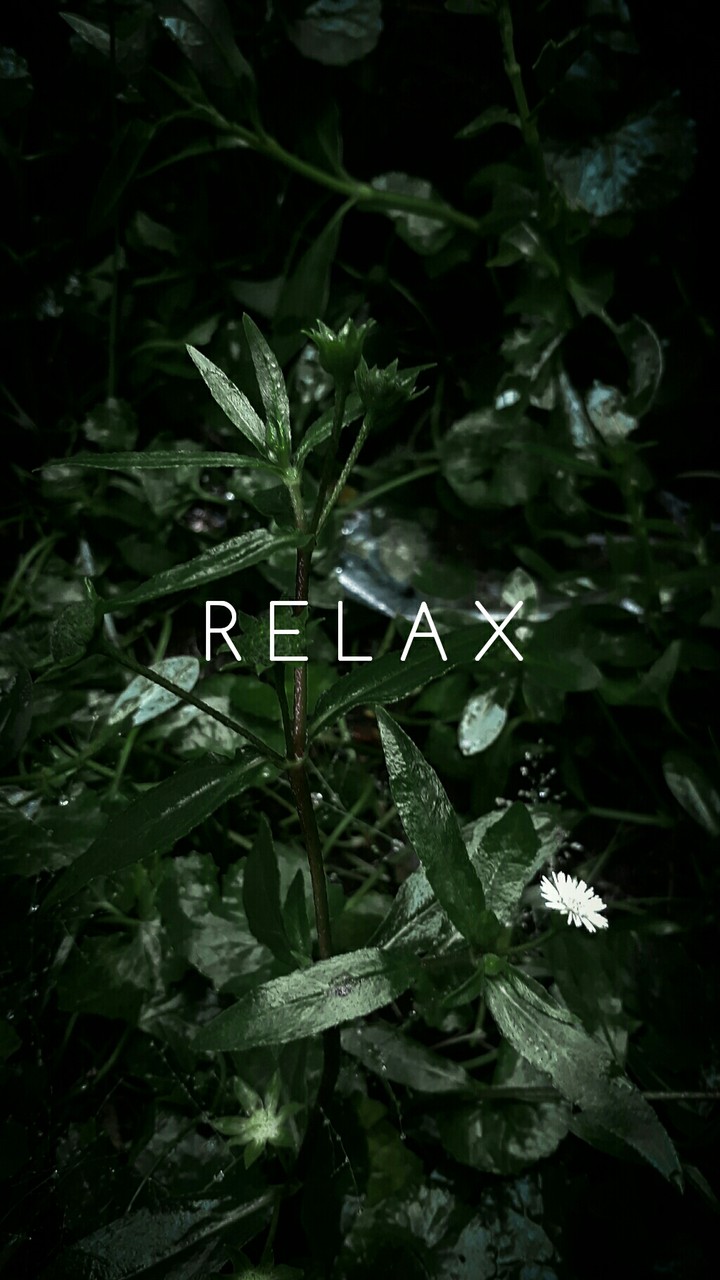relax