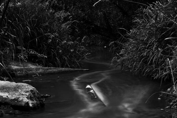 night river