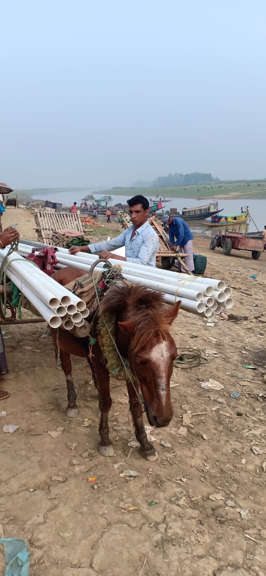 Horse Carriage in Bangladesh