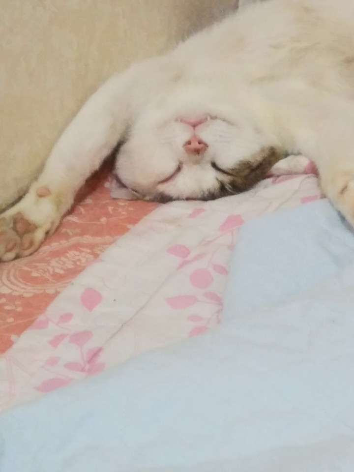 그래서 난 눈누난나~♥
