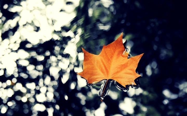 fall