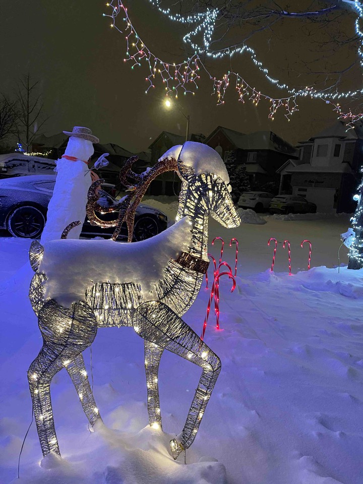 Christmas lights