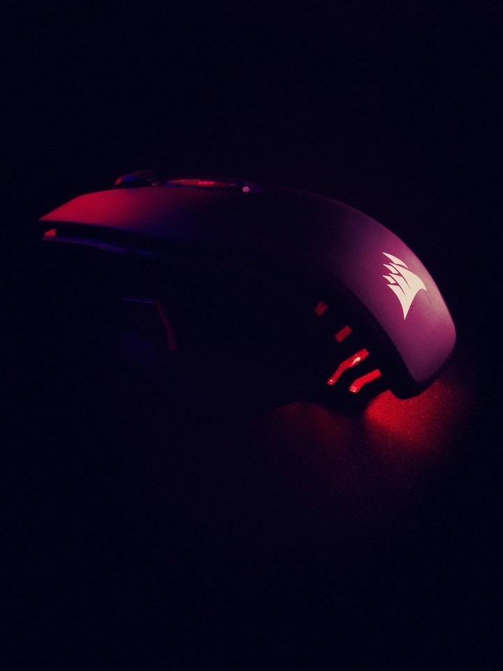 Computer Mouse