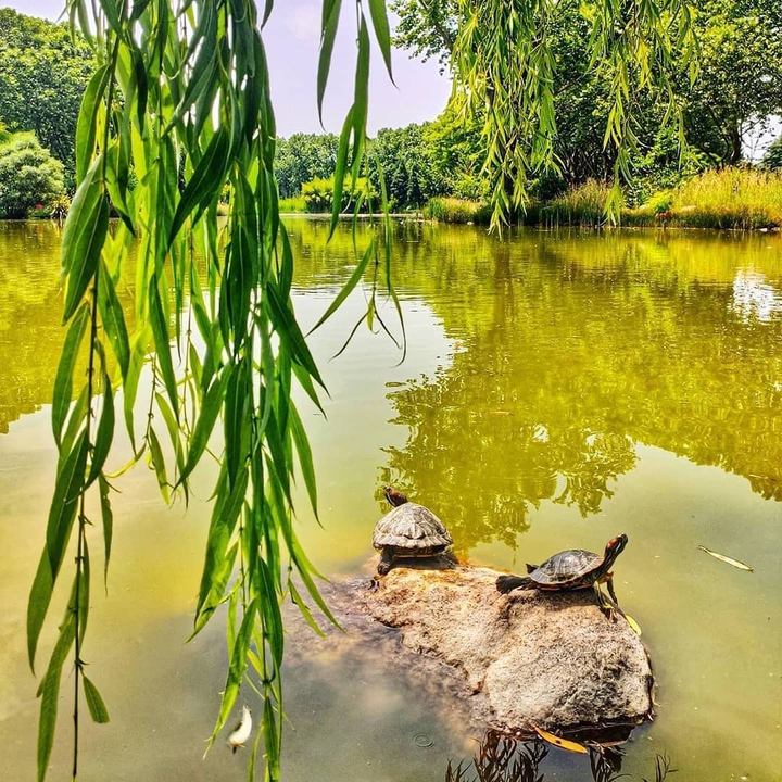 botanik park bursa