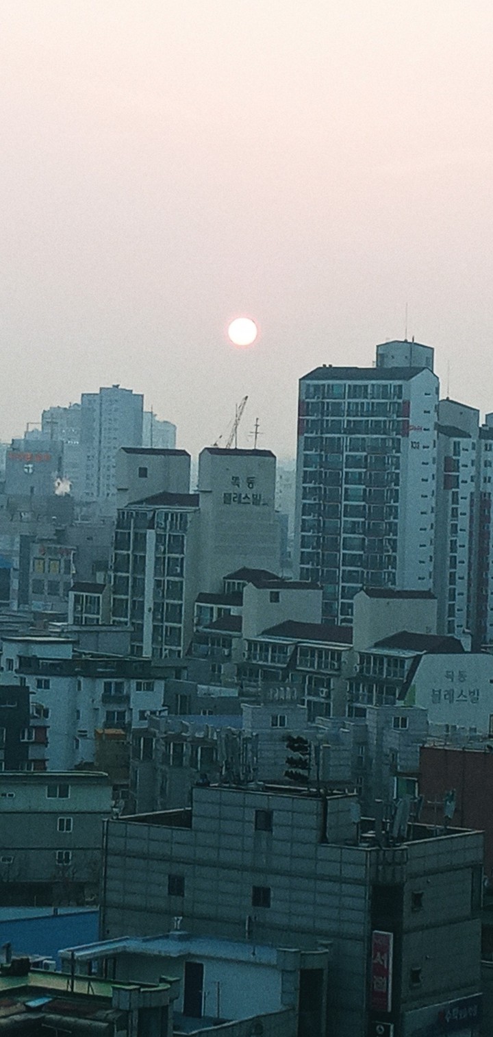 오늘 지는 해