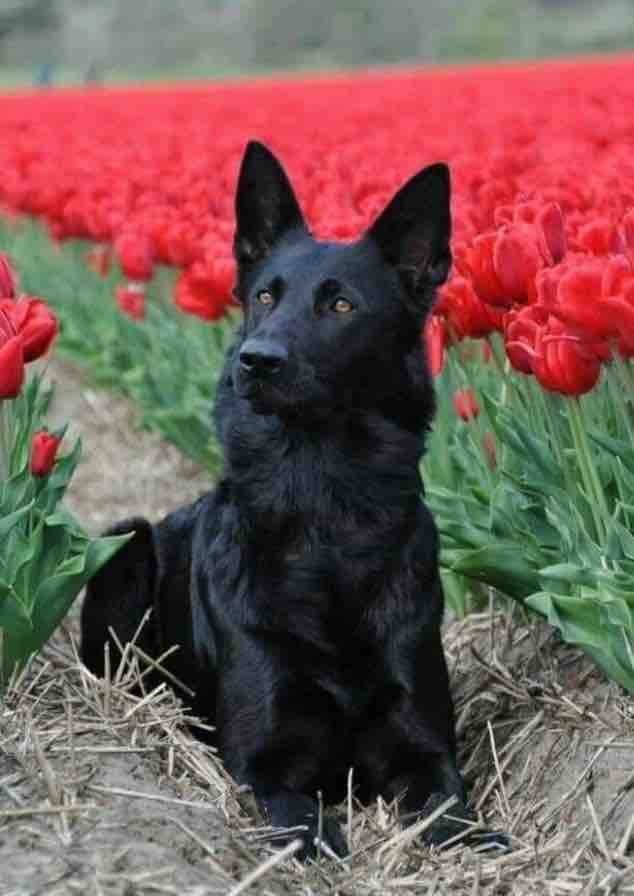 ❤️❤️