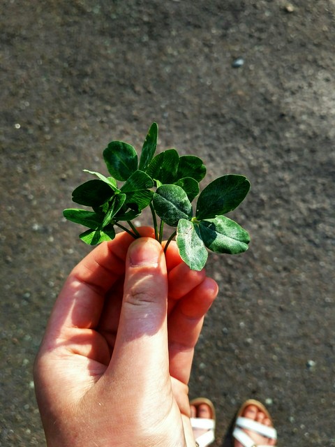 тапети finger, tree