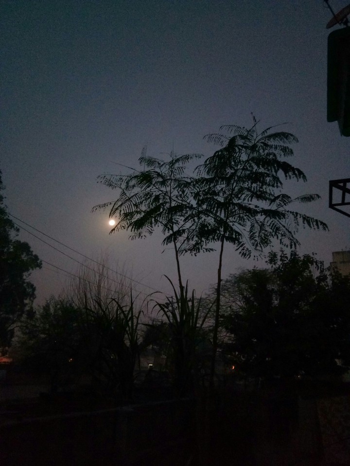 Morning Time 