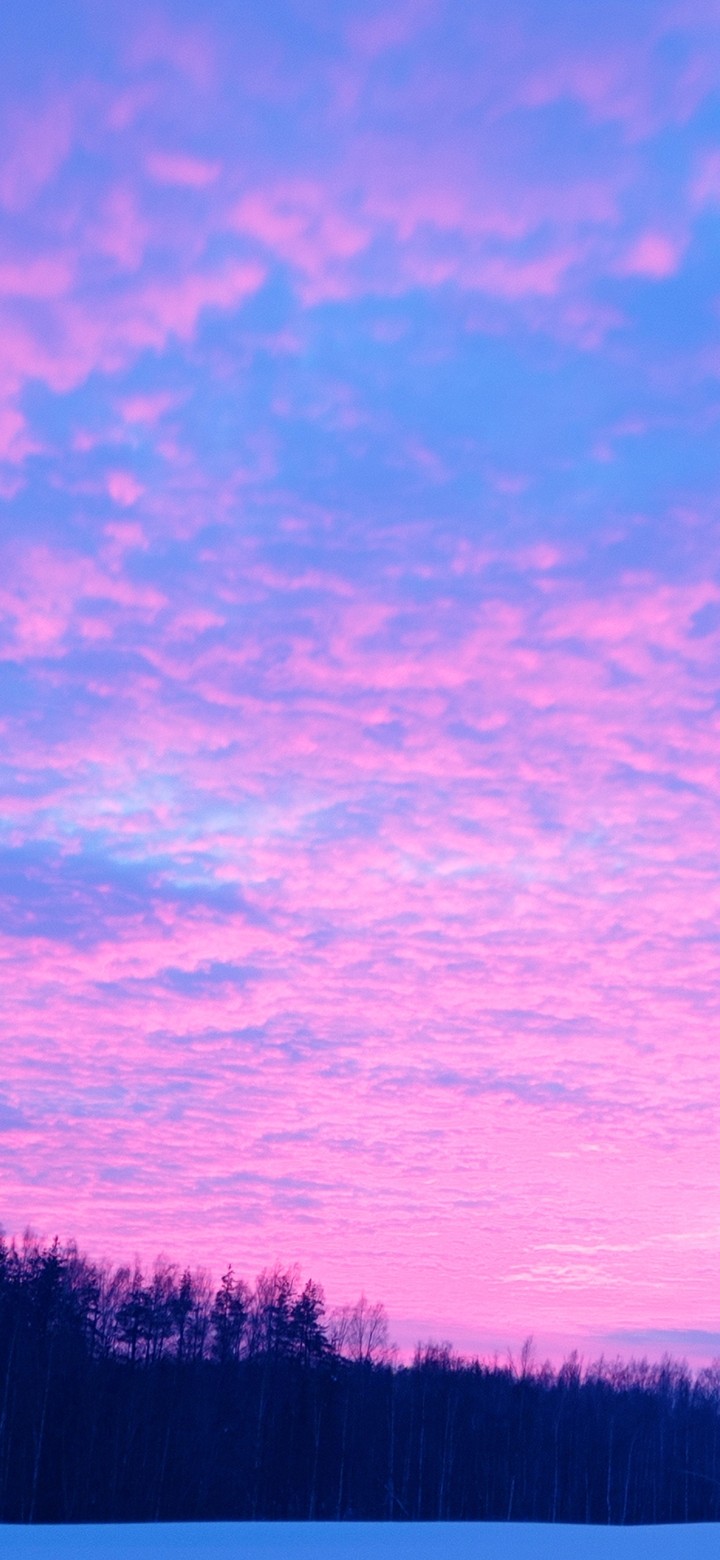sky✨